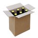 Caisse 240 x 160 x 295 mm pour bouteilles 6x75cl